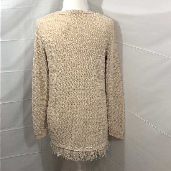 J. Jill Oatmeal Fringe Sweater Tunic - Picture 4 of 11